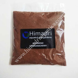 Elarvel Pellets (Taiwan)