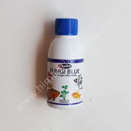 Plantoz- Fungi Blue Medicine- 50ml