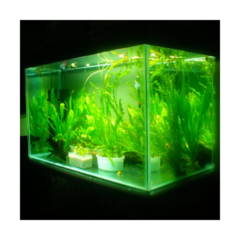 Aquarium Accessories & Rocks