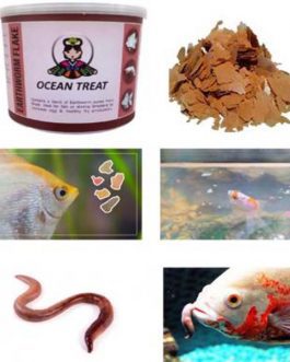 Ocean Treat Earthworm Flake(100 gm)
