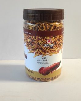 Meal worm (freeze dried)
