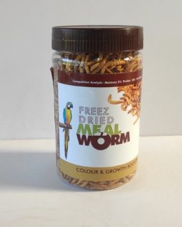 Meal worm (freeze dried)