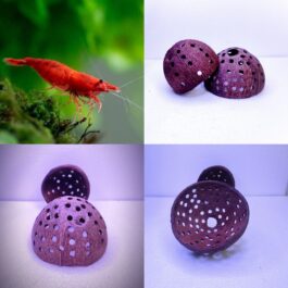 Red cherry shrimp 5 pair and shrimp hiding cave combo
Price- 599