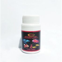 Benebacter+ 50 Gms ( Removes Ammonia, Nitrate and Nitrites )