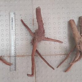 Drift wood /Aquascaping wood (large size)
