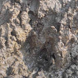 Aquarium Walstad Clay Soil (loose-1 kg)