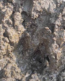 Aquarium Walstad Clay Soil (loose-1 kg)