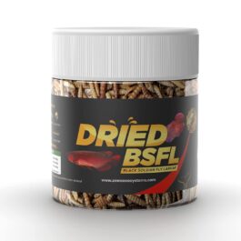 Dried Black Soldier Fly Larvae (25g)