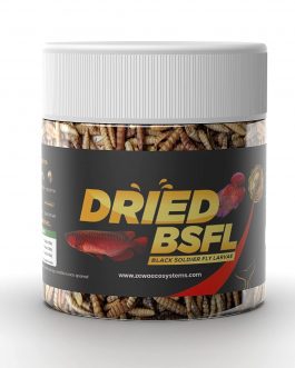 Dried Black Soldier Fly Larvae (25g)