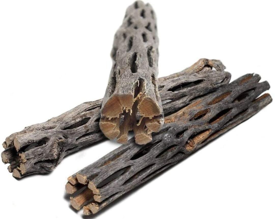Cholla wood - Image 2