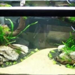 Egyptian Nile river sand (1 kg)