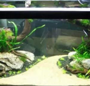 Egyptian Nile river sand (1 kg)