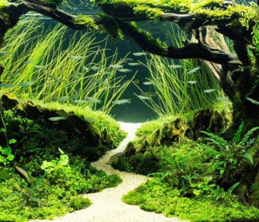 Egyptian Nile river sand (1 kg) - Image 5