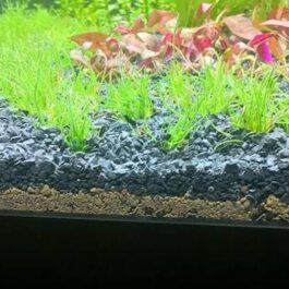 Black lava sand/chips-4mm size (1kg)