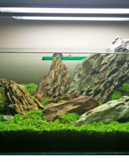 Aquarium Dragon Rock (1kg)