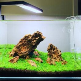 Aquarium Dragon Rock (500 grams)