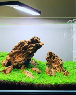 Aquarium Dragon Rock (500 grams)