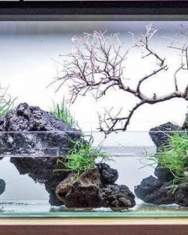 Aquarium Black Lava Rock (500 grams)