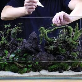 Aquarium Black Lava Rock (1kg)