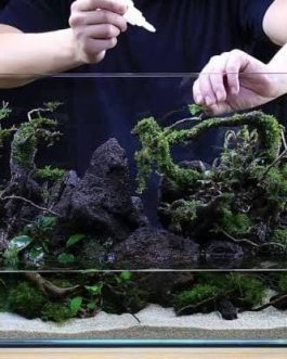 Aquarium Black Lava Rock (1kg)