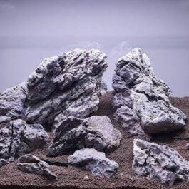 Iwagumi seiryu rock (500 grams)