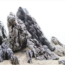 Iwagumi seiryu rock (500 grams)