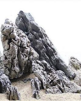 Iwagumi seiryu rock (500 grams)