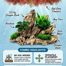 Beginner Friendly Aquarium Combo